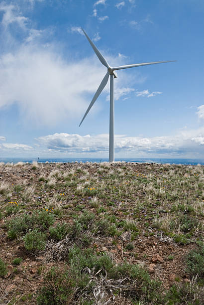 Wind Turbine in the Eastern Washington Desert Installed wind power capacity in Washington State has grown in recent years and the state now ranks among the top ten in the nation with the most wind power installed. As of 2016, wind energy accounted for 7.1% of all energy generated in Washington State. This turbine operates in the Kittitas Valley near Ellensburg, Washington State, USA. jeff goulden environmental conservation stock pictures, royalty-free photos & images