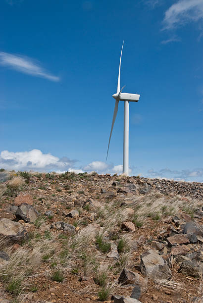 Wind Turbine in the Eastern Washington Desert Installed wind power capacity in Washington State has grown in recent years and the state now ranks among the top ten in the nation with the most wind power installed. As of 2016, wind energy accounted for 7.1% of all energy generated in Washington State. This turbine operates in the Kittitas Valley near Ellensburg, Washington State, USA. jeff goulden wind energy stock pictures, royalty-free photos & images