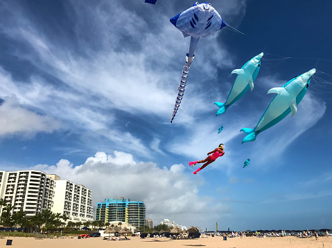 Interesting Marine Life Kites Fly Above Fort Lauderdale Beach