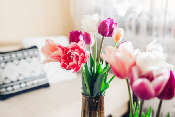 Interior and home decor. Fresh tulips flowers put in vases in living room. Fresh colorful blooms stock photo