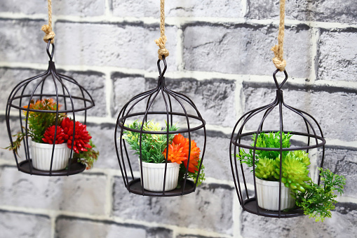 Two hanging baskets containing flowers and plants and a red lantern fixed to a wall