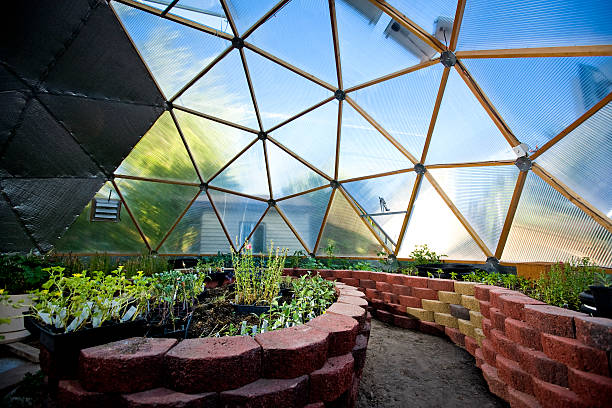 interior of beautiful greenhouse dome - koepel stockfoto's en -beelden