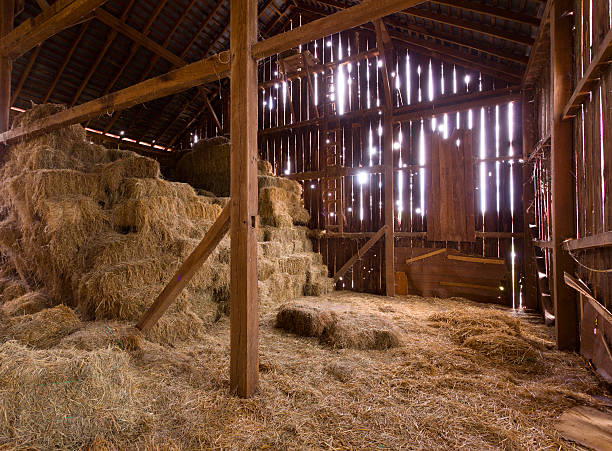 Interior of old barn with straw bales HDR image of an old Barn with the sun streaming from outside and straw and hay on the floor of the hayloft hay stock pictures, royalty-free photos & images