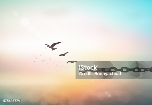 istock International day for the remembrance of the slave trade and its abolition concept 1175643774