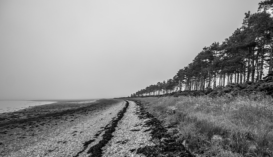 Black and white stoney beach leading into mist with treeline.