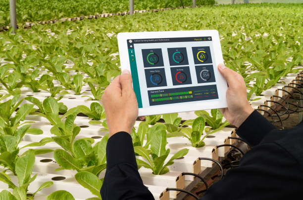 iot smart industrie 4.0 landwirtschaft roboterkonzept, industrielle agronom, landwirt mit tablet zu überwachen, kontrollieren den zustand in innen- oder vertikale farm daten einschließlich der ph, temp, ic, feuchtigkeit, co2 - food data stock-fotos und bilder