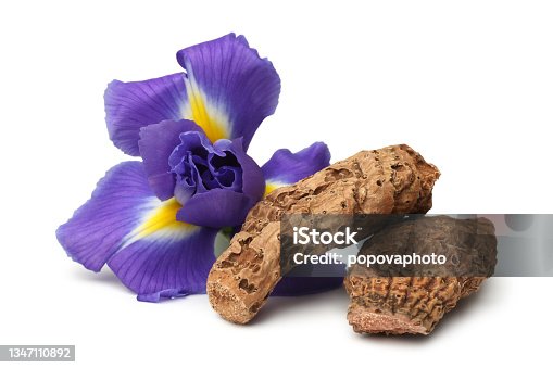 istock Iris rhizome and flower 1347110892