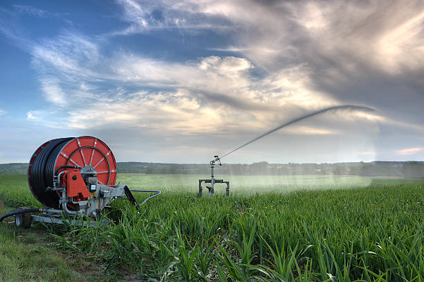 irrigation stock photo