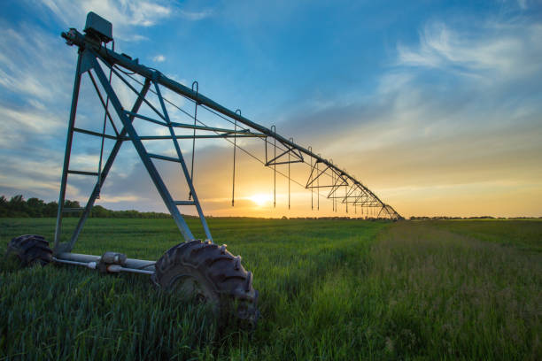irrigatiesysteem in het voorjaar - irrigatiesysteem stockfoto's en -beelden