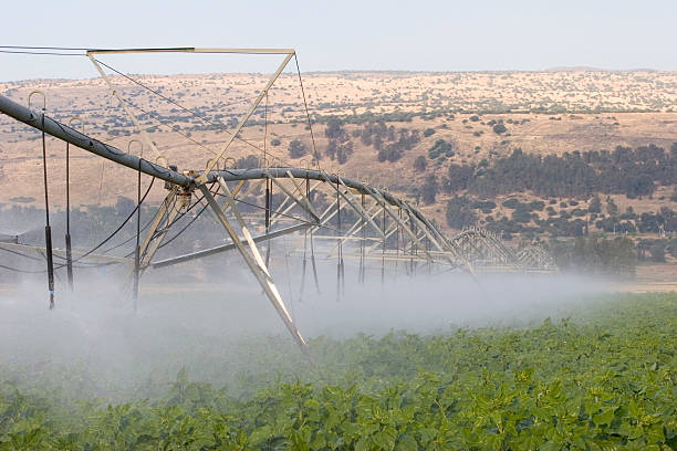 irrigation system - pivot spray stock photo