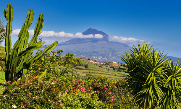 Island Pico with Volcano Mount Pico, Azores stock photo