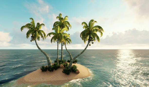 eiland, klein eiland in oceaan. 3d-render - eiland stockfoto's en -beelden