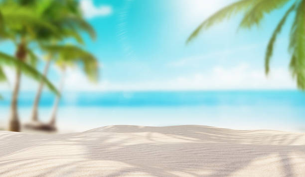 Island with white sand and palms stock photo