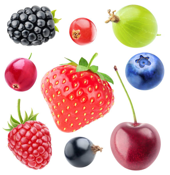 Isolated berries collection Various berries collection. Strawberry, blackberry, cranberry, raspberry, black currant, cherry, blueberry, gooseberry and red currant isolated on white background with clipping path bilberry fruit stock pictures, royalty-free photos & images