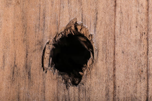 Isolated Hole in Wood Plank stock photo