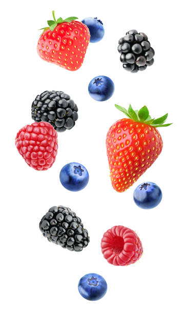 Isolated mixed berries Isolated mixed berries in the air. Falling blackberry, raspberry, blueberry and strawberry fruits isolated on white background with clipping path berry fruit stock pictures, royalty-free photos & images