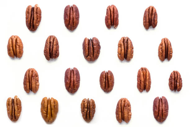 geïsoleerde pecan noten kernel. voedsel patroon. - pecannoot stockfoto's en -beelden