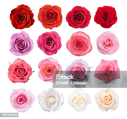 istock Isolated Rose Blossoms 157423114
