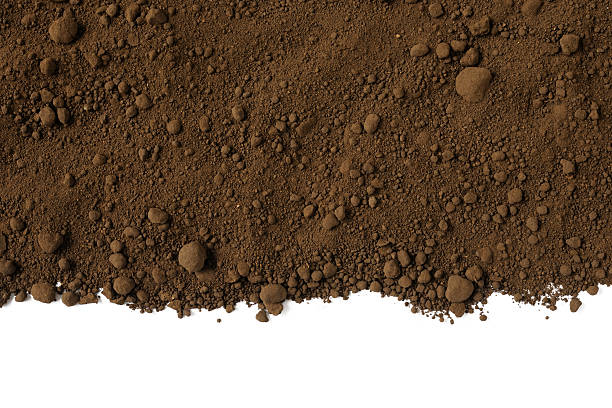 Isolated shot of humus soil border on white background stock photo