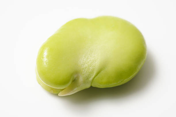 Isolated shot of uncooked fresh broad beans on white background Close-up of a uncooked broad beans isolated on white background with shadow. broad bean stock pictures, royalty-free photos & images