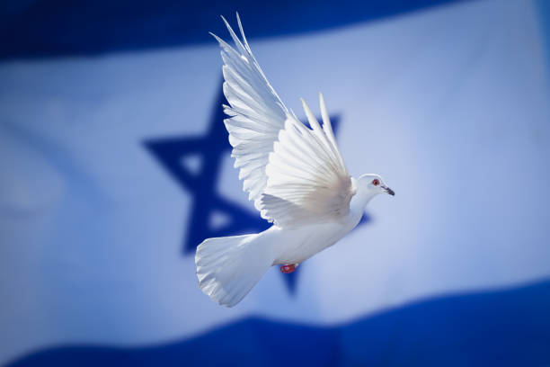 israel-flagge mit friedenstaube - israel stock-fotos und bilder