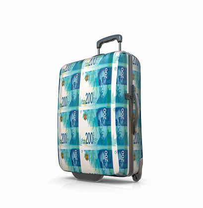 Israeli Shekel Lined Suitcase