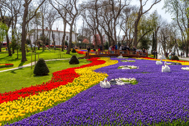 Istanbul Tulip Festival in Emirgan stock photo