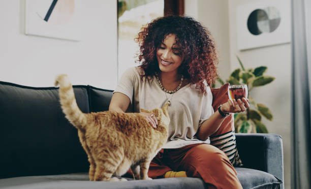 It's just me and you today, kitty Shot of an attractive young woman drinking tea while relaxing with her cat at home modern lifestyle stock pictures, royalty-free photos & images