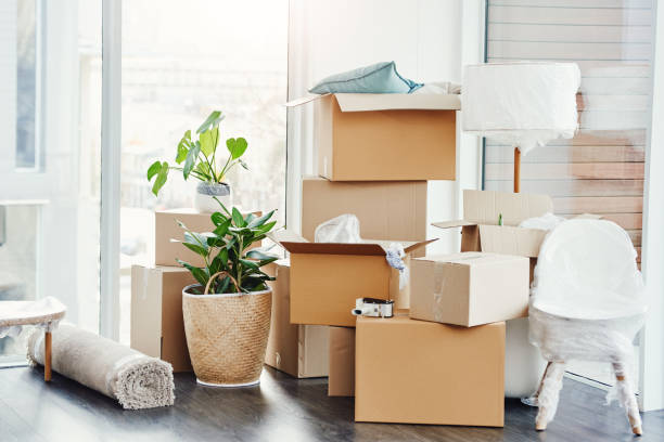 It's moving day Still life shot of an empty room in a house on moving day package stock pictures, royalty-free photos & images