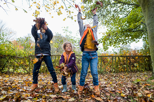 Front-view full-length shot of two brothers and a sister playing in the autumn leaves, they are standing together throwing the leaves up in the air, they are being mischievous and wearing warm winter clothing.