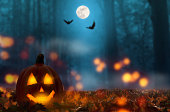 Jack Laterne in der Halloween-Nacht