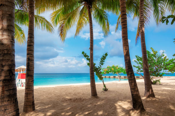 ジャマイカ ビーチ n モンテゴ ベイ - モンテゴ湾 写真 ストックフォトと画像