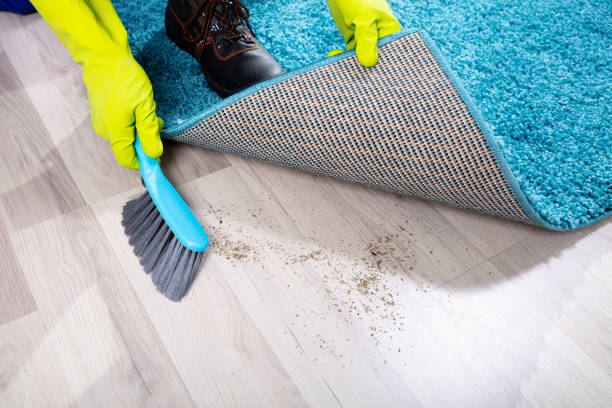 Sweeping Under The Rug Stock Photos, Pictures & RoyaltyFree Images iStock