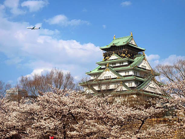 castelo japonês com flor de sakura - osaka imagens e fotografias de stock