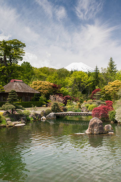 Japanese Formal Garden With Mount Fuji stock photo