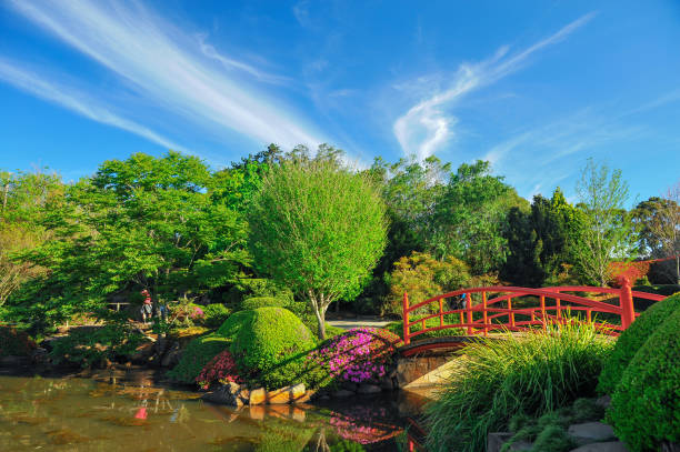 Japanese garden at Toowoomba in summer stock photo