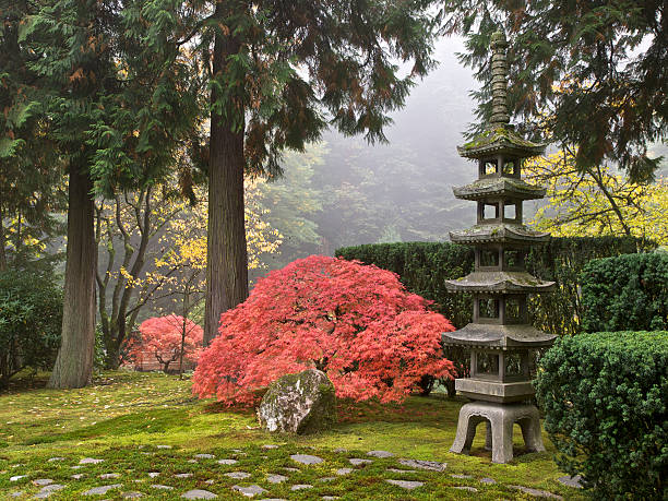 Japanese Garden Fall Colors Sapporo Pagoda Lantern Portland Oregon stock photo