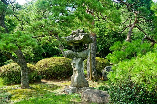 Japanese garden stock photo