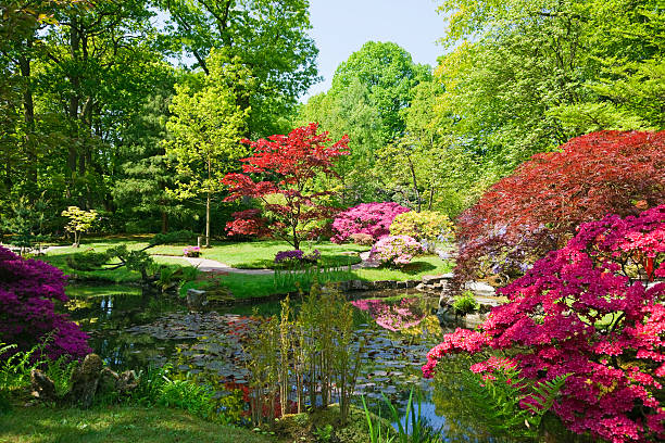Japanese garden # 5 XXXL stock photo