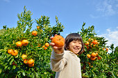 オレンジを選ぶ日本の女の子