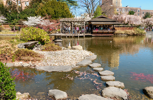 Japanese Hill And Pond Garden In Brooklyn Nyc Stock Photo