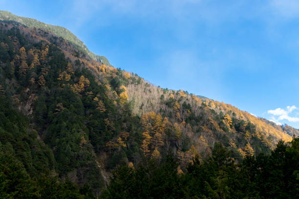 Japanese Mountain Scenery in Autumn Mountain Scenery in Autumn in Azumino, Nagano, Japan erik trampe stock pictures, royalty-free photos & images