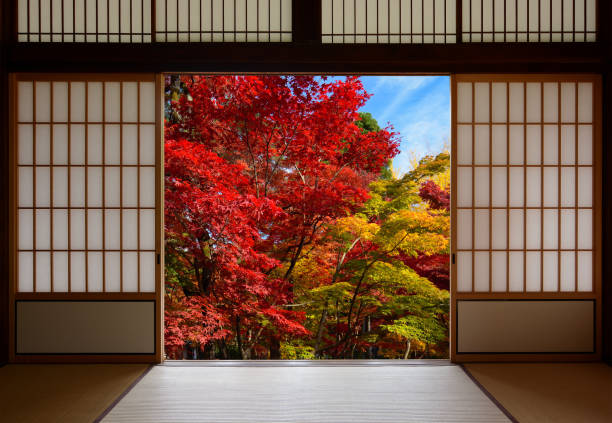Japanese rice paper wood doors opened to an autumn forest with red and yellow fall colors Generic doorway in a traditional Japanese home with the sliding doors opened to let in the autumn breeze and colorful fall leaves. japanese maple stock pictures, royalty-free photos & images