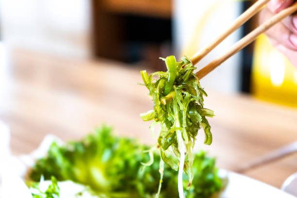 Japanese seaweed salad in chopsticks ready to eat. Japanese seaweed salad in chopstick  on hand 's man ready to eat. seaweed stock pictures, royalty-free photos & images