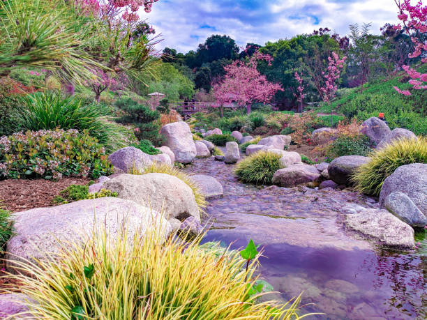 японский спокойствие дзен сад - японский сад камней стоковые фото и изображения