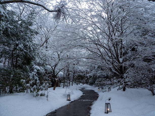 Japanese winter stock photo