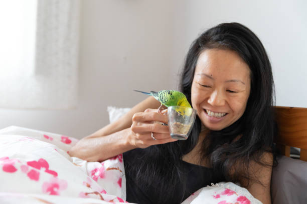 Japanese woman in bed with pet bird stock photo