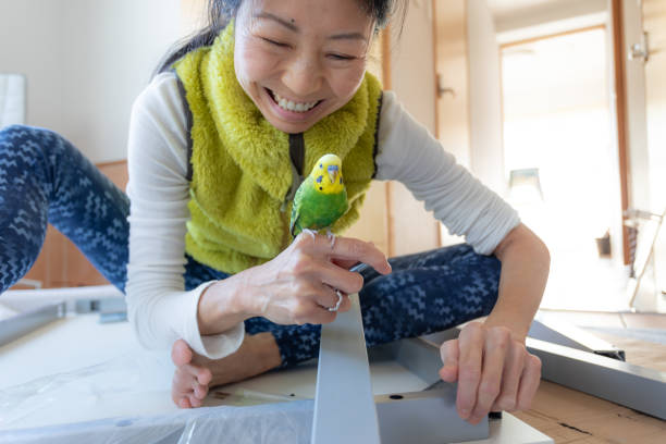 Japanese woman making home office with pet stock photo