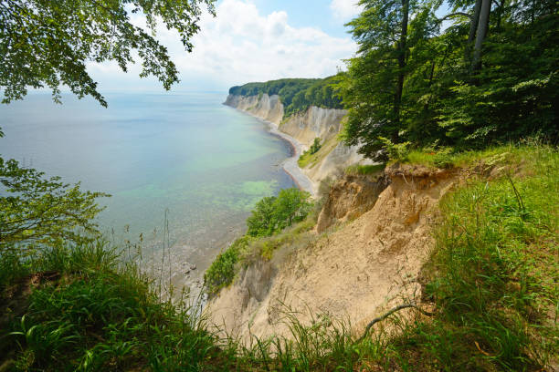 Jasmund White lime cliffs in Jasmund (Rugen, Germany) rügen stock pictures, royalty-free photos & images