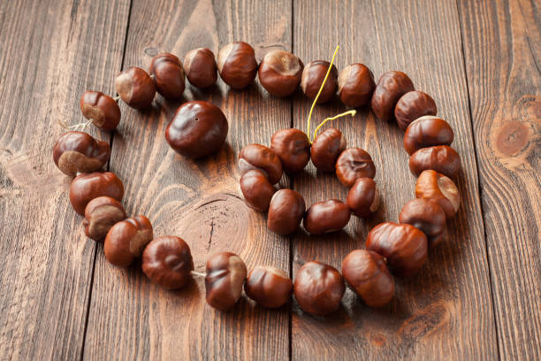 Jewelry made from chestnuts as crafts for kids Jewelry made from chestnuts as crafts for kids horse chestnut seed stock pictures, royalty-free photos & images